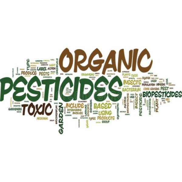 Organic insecticides pesticides