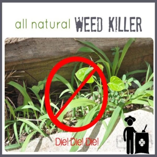 Herbicide weedicides