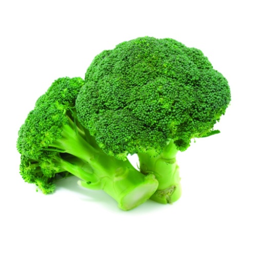 Broccoli | Awangarden