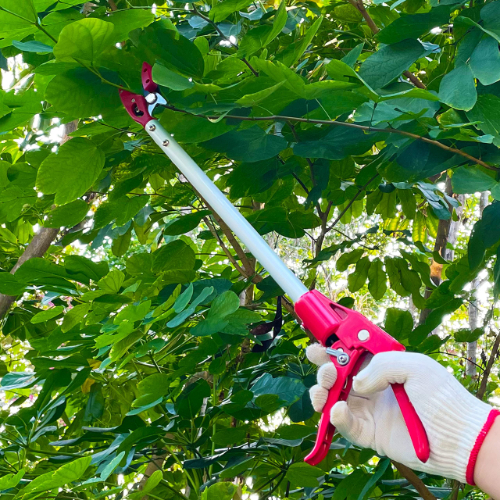 Telescopic Cutter With Saw | 12 Feet Tree Cutter Pruner | Adjustable Fruit Picker Cutter