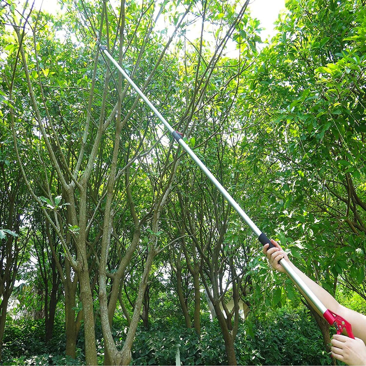 Tree Star Cutter Telescopic Cutter With Saw | 12 Feet Tree Cutter Pruner | Adjustable ...